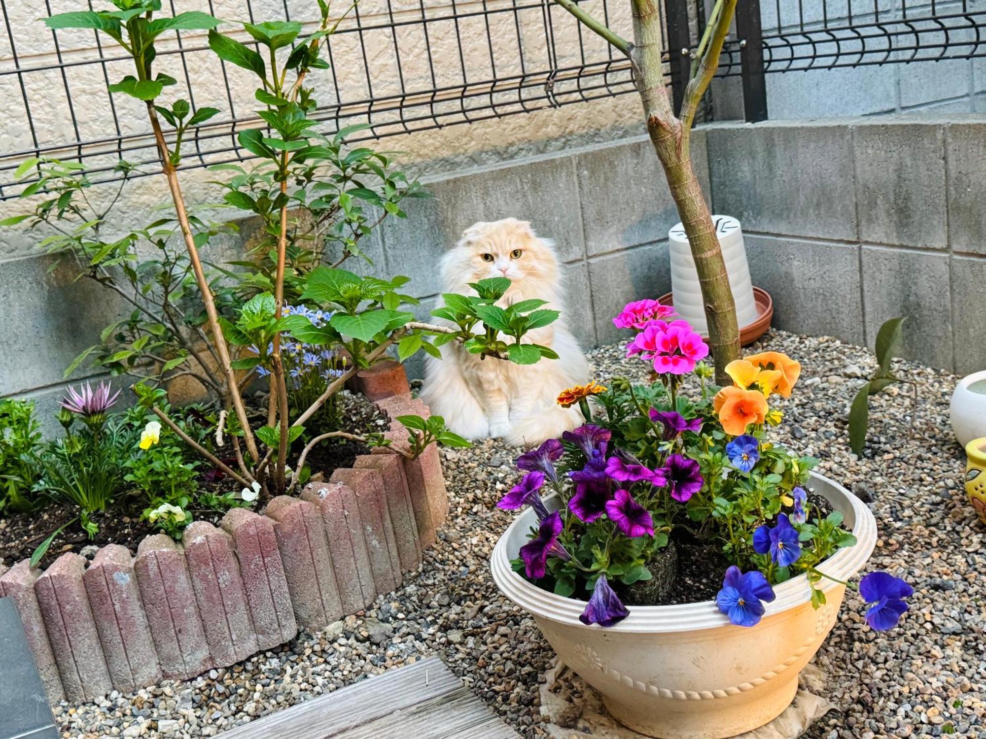 遥華-haruka House * 京都